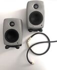 GENELEC 6010A - GRIGIE PERFETTAMENTE FUNZIONANTI+ 2x Oelbach NF214