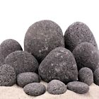 Aquarium Natursteine Zen Pebbles Deko Stein Grau 1 Stück Gr.M 7-9cm Nr.56 Felsen