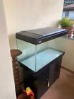 Acquario marino 240 litri + sump e skimmer