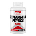 GLUTAMMINA PEPTIDE 1000 150 CPR