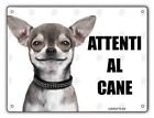 Cartello Attenti al cane Chihuahua metallo pvc targa