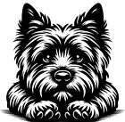 CAIRN TERRIER Aufkleber - Autoaufkleber - sticker - Cairn Terrier Kopf #38