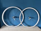 Wheel set Bianchi SGHEZ with CAMPAGNOLO Hub (Zonda)