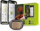 - GPS Satellitare per Collare Cani E Gatti Evo - Tracker Salute E Attività - Wat