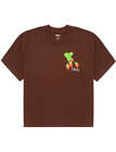 Obey Womens Strawberry Bunch Tee Java Brown