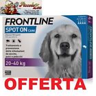 Frontline spot-on 4 pipette antiparassitario per cane 20-40kg