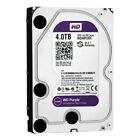 HARD DISK 3,5 WESTERN DIGITAL PURPLE 4TB SATA3 64MB WD40PURX VIDEOSORVEGLIANZA