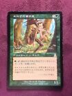 Elvish Piper Japanese    MTG Magic     (see scan)