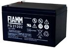 Batteria FIAMM AGM 12Ah  - 12V senza manutenzione  FG21202 FG 21202