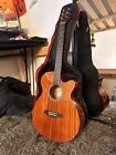 BRUNSWICK BTK40M ACOUSTIC GUITAR