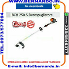 DECESPUGLIATORE OLEO-MAC BCH 250 S 1,2 HP - 0,9 kW/25,4 cm³