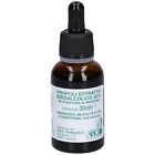 Propoli Estratto Alcolico Titolato 30% 30 Ml