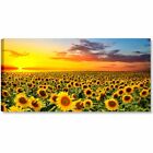 Campo di Girasoli Quadro Moderno Stampa su Tela Soggiorno Camera da Letto 90x45