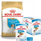 ROYAL CANIN JACK RUSSELL TERRIER CUCCIOLO 3kg + 12x85