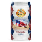 FARINA CAPUTO MANITOBA | SACCO AMERICA  0  KG. 25