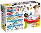 Lisciani Montessori-Mon PUPITRE-FR76734, FR76734 - NUOVO