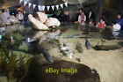 Photo 6x4 Tank in the Blue Planet Aquarium, Ellesmere Port One of several c2015