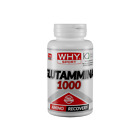 GLUTAMMINA 1000 100 CPR