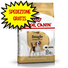 ROYAL CANIN CANE BEAGLE ADULT 12 KG