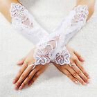 Beautiful Satin & Lace Gloves