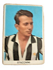 FIGURINE SIDAM  CALCIO # 134 - GINO STACCHINI  - JUVENTUS - NUOVA - CARD