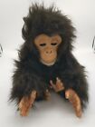 Furreal Friends Cuddle Chimp Interactive Monkey 2005 Hasbro