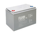 Batteria Accumulatore Piombo 12V 100Ah FIAMM 12FGL100 Solare Fotovoltaico Camper