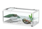 Tartarughiera Tartarughiere acquario tartarughe anfibi vetro isola 55cm