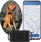 GPS per Collare Cani 4G, Tracker Attività in Tempo Reale, GPS Satellitare per Co