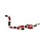 Statuina animal planet serpente corallo