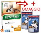 Bayer Advantage per GATTI e Piccoli Animali FINO 4 kg // 4 pipette (+2 Felix)