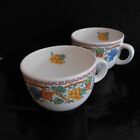 2 tasses bols céramique faïence I FRUTTI DELLA NATURA ITALY Art Nouveau N3112