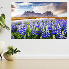 Majestic Lupine Flowers, Sunlight 3d View Wall Sticker Poster Decal A745