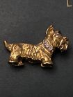 Pin s Chien Agatha Paris