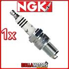 1 CANDELA NGK BR8EIX BENELLI Spring 50CC - BR8EIX