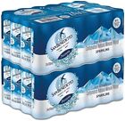 Acqua Minerale Frizzante San Benedetto Lattina - 48 Barattoli 33 Cl