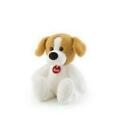 PELUCHE CANE BEAGLE ILLUMINA SOGNI E CARILLON