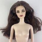 Barbie Pink Label Collection Doll Vampire Bella The Twilight Saga Breaking Dawn