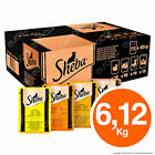 Sheba in Gelatina Cibo per Gatti con Pollo, Tacchino, Pollame ed Anatra - 72x85g