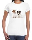 Jack Russell Cuccioli Donna T-Shirt - Russells Regalo