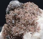 Rara Endlichite Calcite Su Dolomia - Vanadinite Dolomite - 60 Grammi - Messico