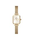 Orologio QUADRO MINI EVERGOLD CHAMPAGNE Daniel Wellington Donna