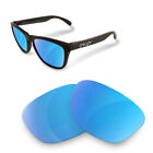 Lenti di Ricambio Compatibli Polarizzate per Oakley Frogskins OO9013