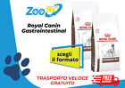 royal canin gastrointestinal cane