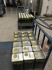 5 litri Olio extravergine di oliva Cultivar La Coratina nuova molitura 2023