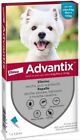 Advantix spot-on Antiparassitario per Cani da 4kg a 10kg, 1 Pipetta