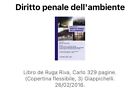 Diritto penale dell ambiente   Carlo Ruga Riva