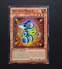 Yu-Gi-Oh | Ratto a Molla | ORCS-IT023 1st Ed