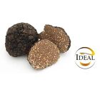 100g Tartufo Uncinato - IT - Fresco - Tuber Uncinatum Chatin - ITALIA