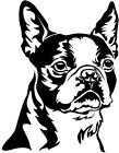 BOSTON TERRIER Aufkleber - Autoaufkleber - sticker - Boston Terrier Kopf #69